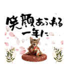 ソマリ子猫！華やかお正月あいさつスタンプ（個別スタンプ：10）