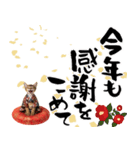 ソマリ子猫！華やかお正月あいさつスタンプ（個別スタンプ：16）