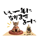 ソマリ子猫！華やかお正月あいさつスタンプ（個別スタンプ：18）