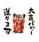 ソマリ子猫！華やかお正月あいさつスタンプ（個別スタンプ：19）