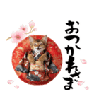 ソマリ子猫！華やかお正月あいさつスタンプ（個別スタンプ：21）