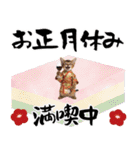 ソマリ子猫！華やかお正月あいさつスタンプ（個別スタンプ：23）