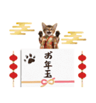 ソマリ子猫！華やかお正月あいさつスタンプ（個別スタンプ：26）