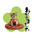 ソマリ子猫！華やかお正月あいさつスタンプ（個別スタンプ：31）