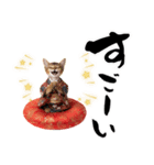 ソマリ子猫！華やかお正月あいさつスタンプ（個別スタンプ：32）