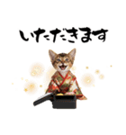ソマリ子猫！華やかお正月あいさつスタンプ（個別スタンプ：33）