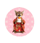 ソマリ子猫！華やかお正月あいさつスタンプ（個別スタンプ：40）