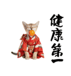 トンキニーズ子猫！かわいいお正月あいさつ（個別スタンプ：17）