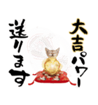 トンキニーズ子猫！かわいいお正月あいさつ（個別スタンプ：19）