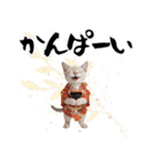 トンキニーズ子猫！かわいいお正月あいさつ（個別スタンプ：22）