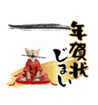 トンキニーズ子猫！かわいいお正月あいさつ（個別スタンプ：24）
