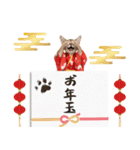 トンキニーズ子猫！かわいいお正月あいさつ（個別スタンプ：26）