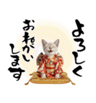 トンキニーズ子猫！かわいいお正月あいさつ（個別スタンプ：29）