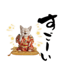 トンキニーズ子猫！かわいいお正月あいさつ（個別スタンプ：32）