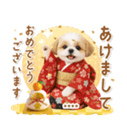 名入れ☆癒しシーズーの毎年使える年賀状（個別スタンプ：2）