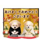 名入れ☆癒しシーズーの毎年使える年賀状（個別スタンプ：3）