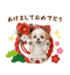 名入れ☆癒しシーズーの毎年使える年賀状（個別スタンプ：5）