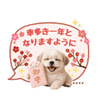 名入れ☆癒しシーズーの毎年使える年賀状（個別スタンプ：13）