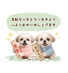 名入れ☆癒しシーズーの毎年使える年賀状（個別スタンプ：20）