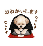 名入れ☆癒しシーズーの毎年使える年賀状（個別スタンプ：24）