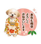 名入れ☆癒しシーズーの毎年使える年賀状（個別スタンプ：27）