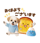 名入れ☆癒しシーズーの毎年使える年賀状（個別スタンプ：29）