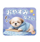 名入れ☆癒しシーズーの毎年使える年賀状（個別スタンプ：30）