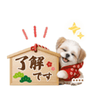 名入れ☆癒しシーズーの毎年使える年賀状（個別スタンプ：31）