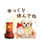 名入れ☆癒しシーズーの毎年使える年賀状（個別スタンプ：33）