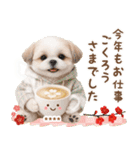 名入れ☆癒しシーズーの毎年使える年賀状（個別スタンプ：34）