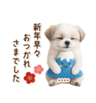 名入れ☆癒しシーズーの毎年使える年賀状（個別スタンプ：35）