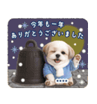 名入れ☆癒しシーズーの毎年使える年賀状（個別スタンプ：39）