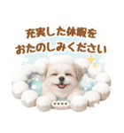 名入れ☆癒しシーズーの毎年使える年賀状（個別スタンプ：40）