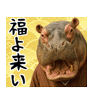 動物園のお正月 年末年始スタンプ（個別スタンプ：9）