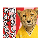動物園のお正月 年末年始スタンプ（個別スタンプ：12）