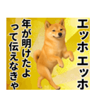 エッホエッホ しばいぬ 正月って伝えなきゃ（個別スタンプ：2）