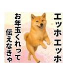 エッホエッホ しばいぬ 正月って伝えなきゃ（個別スタンプ：4）