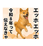 エッホエッホ しばいぬ 正月って伝えなきゃ（個別スタンプ：6）