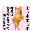 エッホエッホ しばいぬ 正月って伝えなきゃ（個別スタンプ：7）