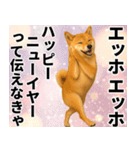 エッホエッホ しばいぬ 正月って伝えなきゃ（個別スタンプ：9）