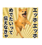 エッホエッホ しばいぬ 正月って伝えなきゃ（個別スタンプ：10）