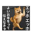 エッホエッホ しばいぬ 正月って伝えなきゃ（個別スタンプ：12）