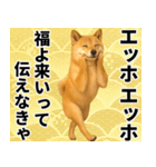 エッホエッホ しばいぬ 正月って伝えなきゃ（個別スタンプ：13）