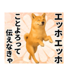 エッホエッホ しばいぬ 正月って伝えなきゃ（個別スタンプ：17）