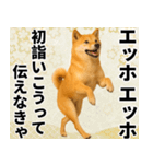 エッホエッホ しばいぬ 正月って伝えなきゃ（個別スタンプ：19）