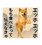 エッホエッホ しばいぬ 正月って伝えなきゃ（個別スタンプ：21）