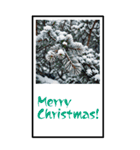 お正月の風景のBIG年賀状（個別スタンプ：24）