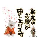 ヒマラヤン子猫❗️ふんわりお正月あいさつ（個別スタンプ：6）