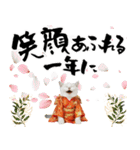 ヒマラヤン子猫❗️ふんわりお正月あいさつ（個別スタンプ：10）