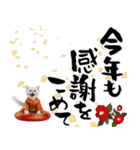 ヒマラヤン子猫❗️ふんわりお正月あいさつ（個別スタンプ：16）